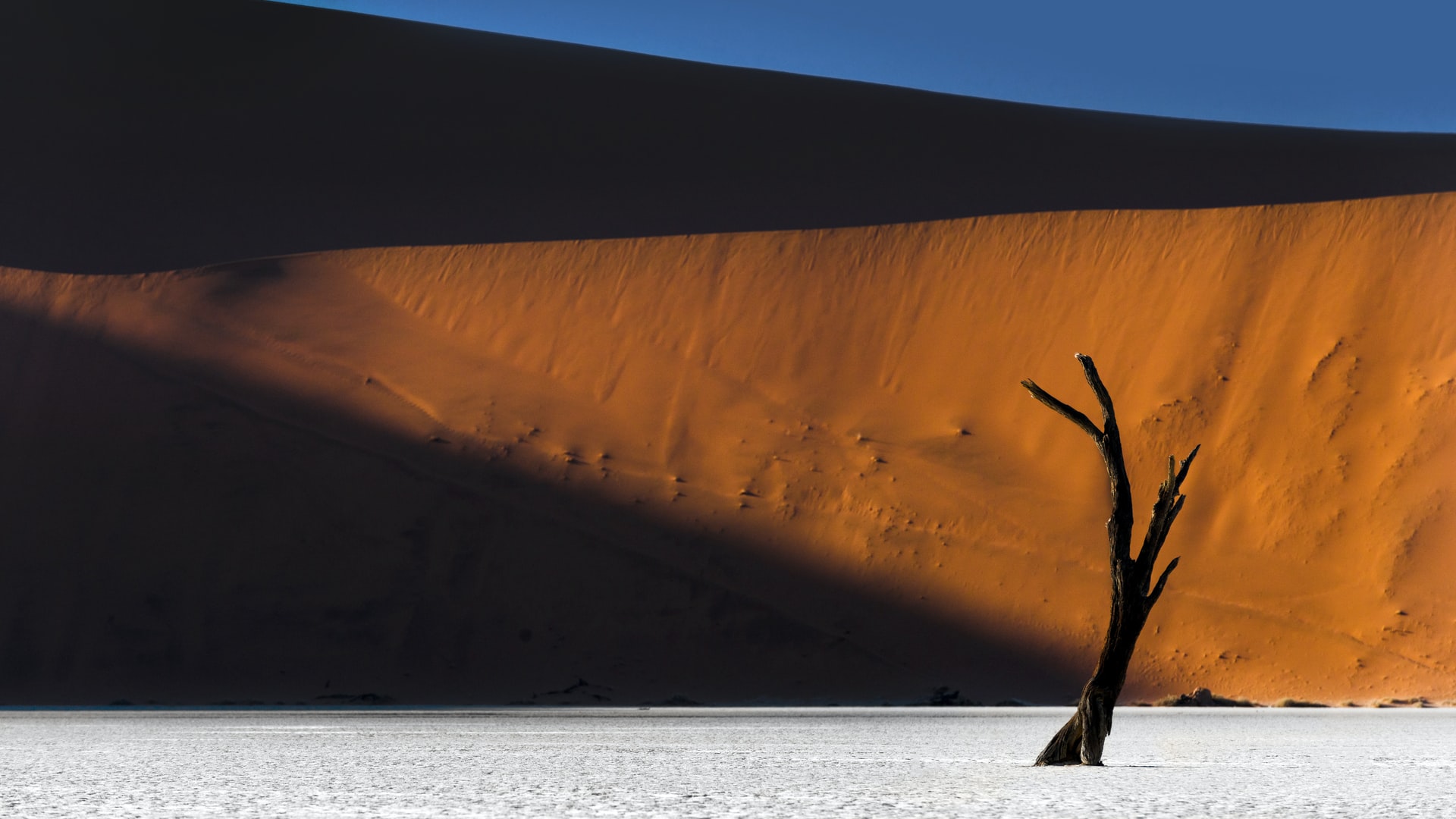 Model overview figure